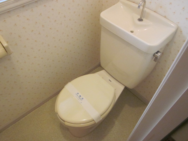 Toilet