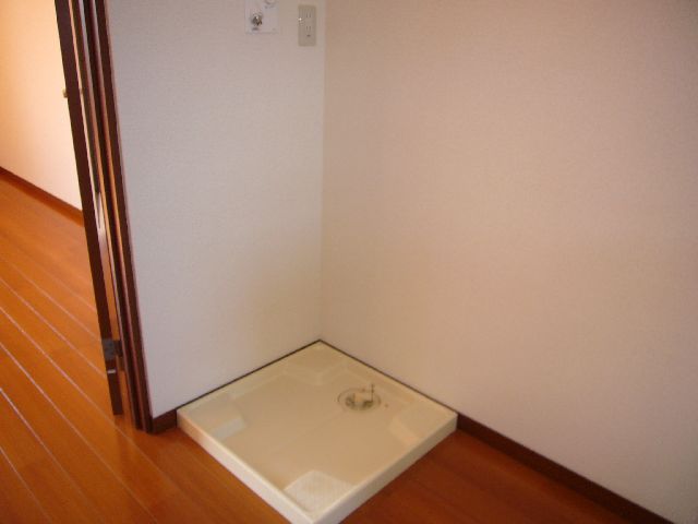 Other. It is indoor washing Storage. 
