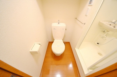 Toilet. Toilet with cleanliness