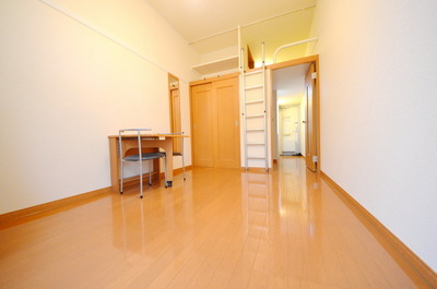 Living and room. Ceiling and there is a high airy rooms (second floor above the carpet specification)