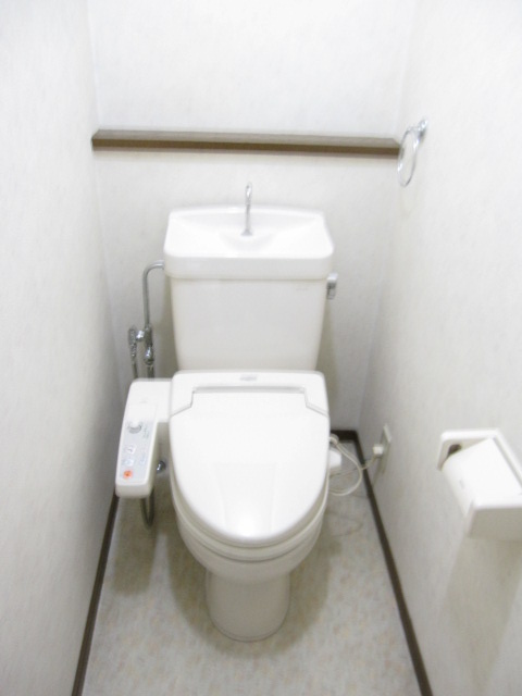 Toilet. Bidet