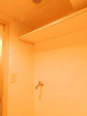 Receipt. Toilet shelf