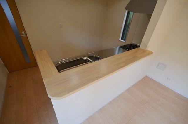 Kitchen. Kitchen counter