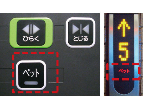 Other.  [Pets and living together] You can live with a pet that gives us peace. Since we have established a pet of foot washing place, Please use after your walk. In addition to the elevator, Pressing the pet button is displayed on each floor of the display panel on when you ride along with the pet, Let you know that in advance pet is riding. Pet each other ran into, Prevents or each other barking. (More than the published photograph of the same specifications)