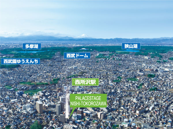 Surrounding environment. Aerial photo of the local vicinity