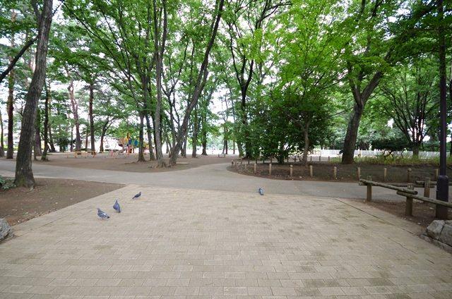 park. Midoricho to Central Park 360m