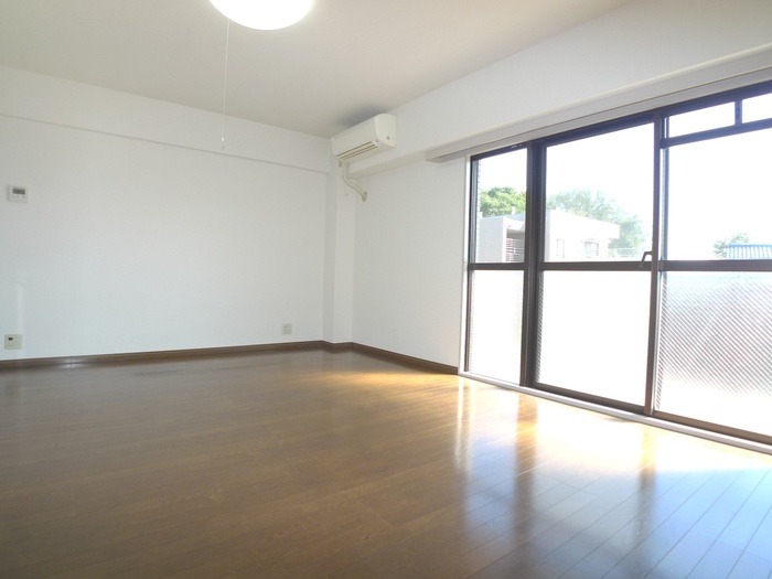 Living and room. Sunny! 