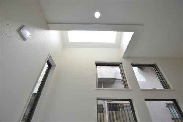 Living. Living with a top light