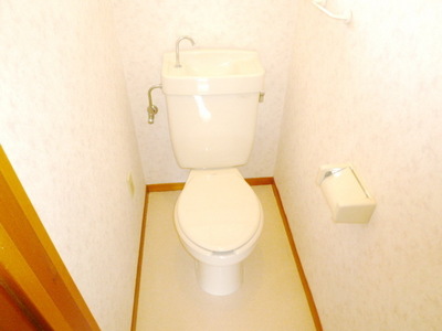 Toilet. Toilet