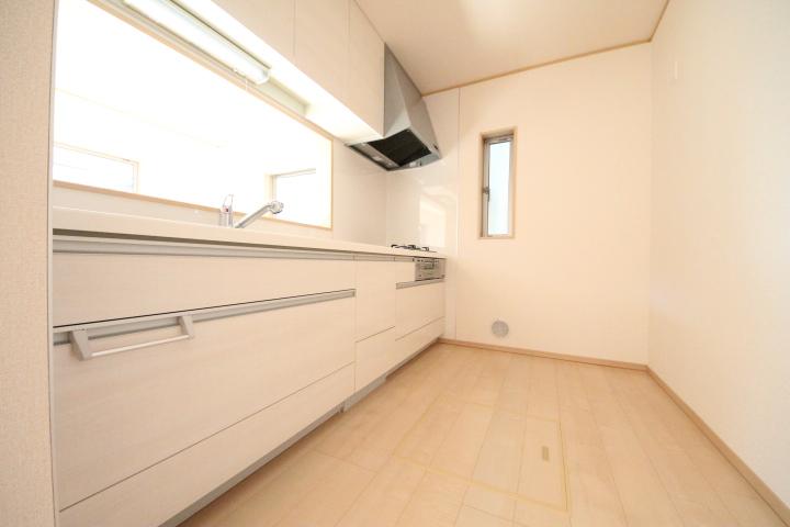 Kitchen. System kitchen water purifier with faucet.