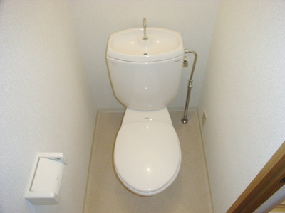 Toilet. Toilet with cleanliness