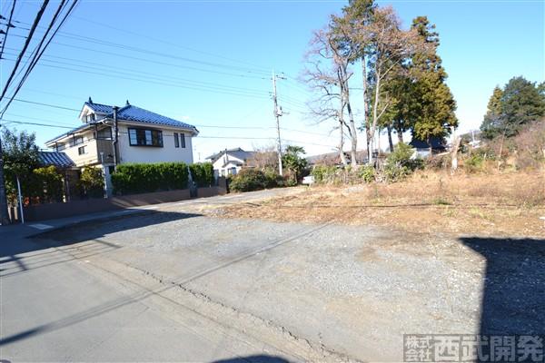 Local photos, including front road