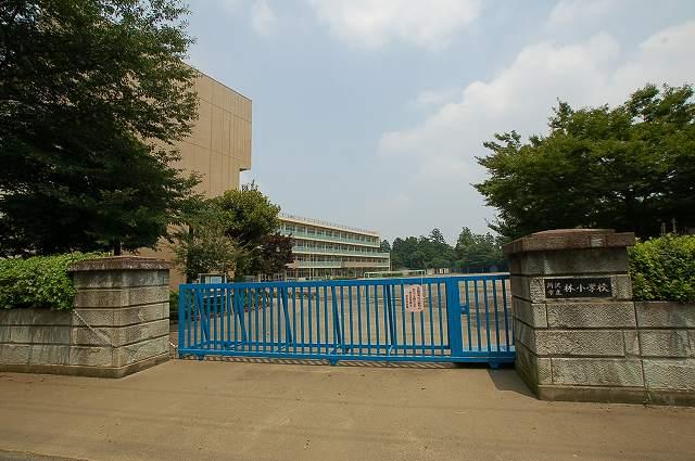 Primary school. Tokorozawa 690m up to municipal forest Elementary School