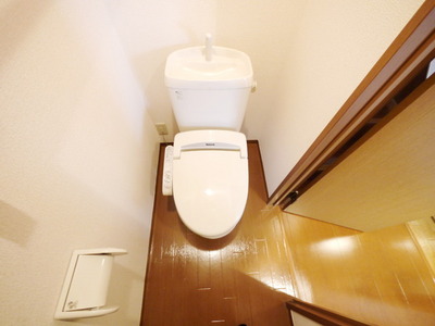 Toilet. Bidet