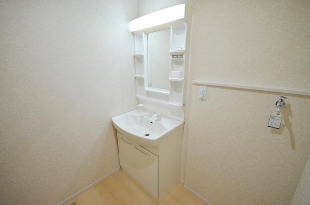 Wash basin, toilet. Vanity with shampoo dresser
