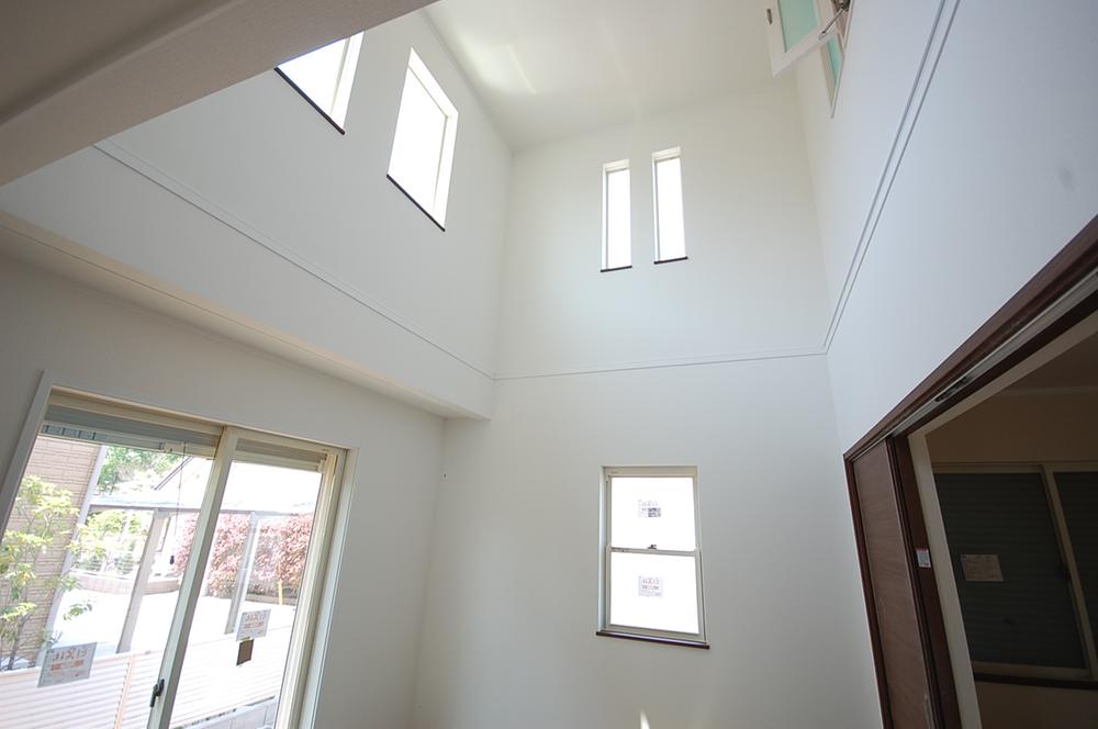 Other introspection. Blow-by