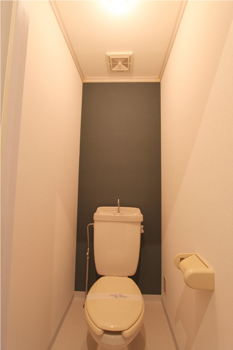 Toilet. The accent cross toilet! 