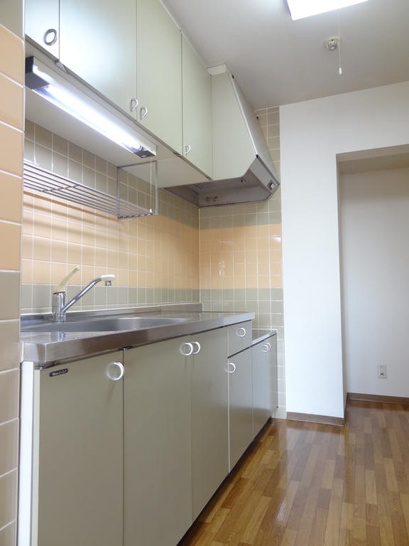 Kitchen. Independent type of kitchen. About 3 Pledge worth of space.
