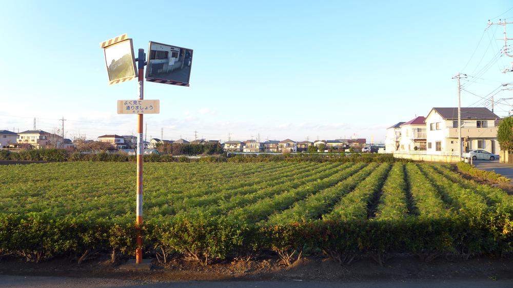 Other local. Vast land. . .