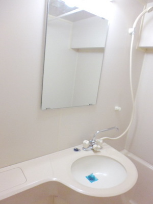 Washroom. Wash basin