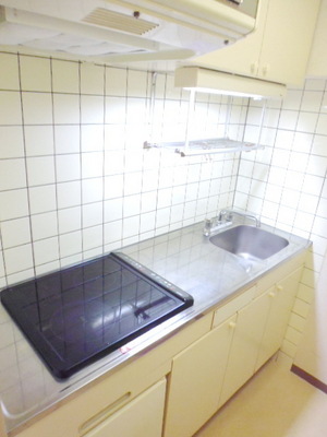 Kitchen. System kitchen