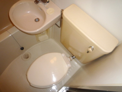 Toilet. Toilet