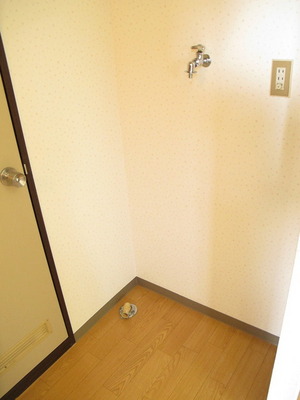 Washroom. Washing machine in the room