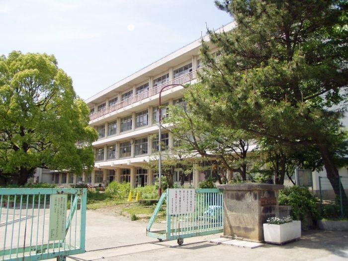 Primary school. Izumi elementary school