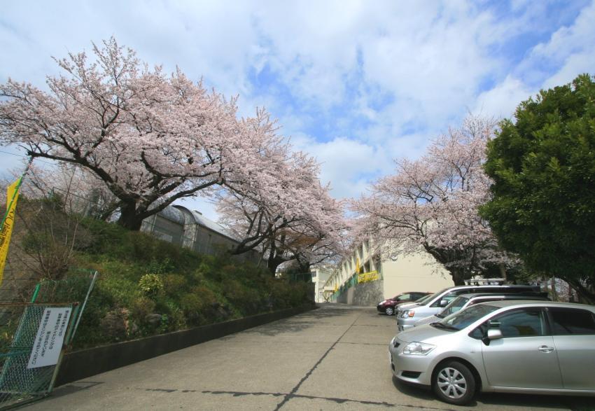 Junior high school. Yamaguchi Junior High School