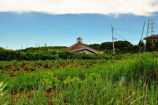 library. Tokorozawa Municipal Tokorozawa Library Azuma to annex 485m