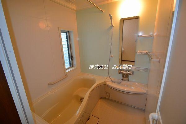 Bathroom. Indoor (June 2012) shooting