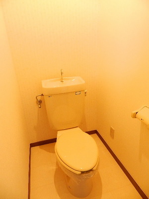 Toilet. Toilet