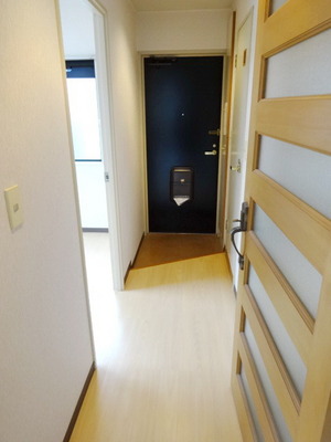 Other room space. Entrance hall