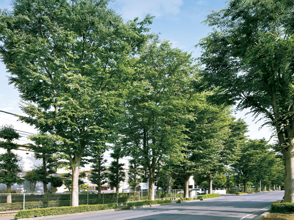 Surrounding environment. New Tokorozawa Matagamichi Bridge Street (about 10m ・ 1-minute walk)