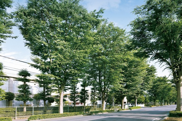 New Tokorozawa Matagamichi Bridge Street (about 10m ・ 1-minute walk)