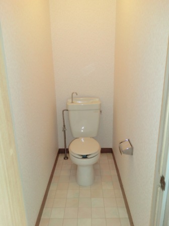 Toilet. Toilet with depth.