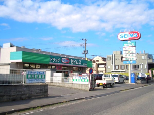 Dorakkusutoa. Drag Seimusu Higashitokorozawa shop 409m until (drugstore)