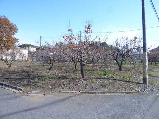 Local land photo. Local Photos