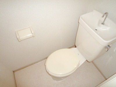 Toilet. Toilet