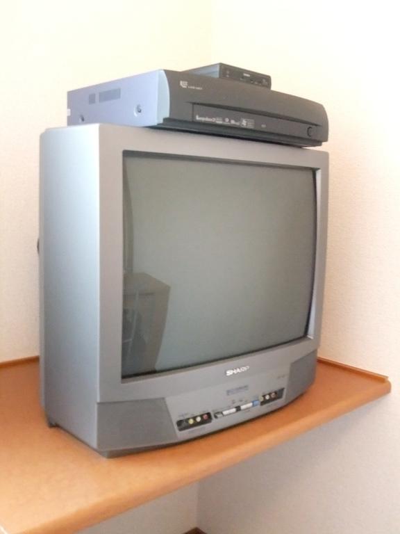Other. TV (there is a possibility that the product may be changed. )