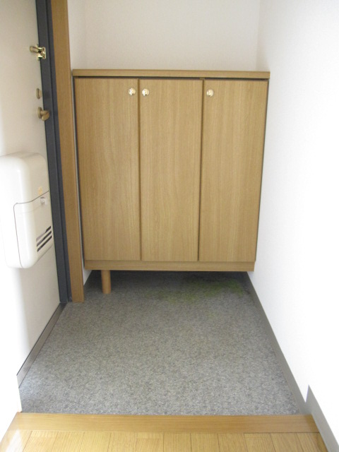 Entrance. There shoebox in the entrance. 