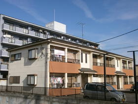 Building appearance
