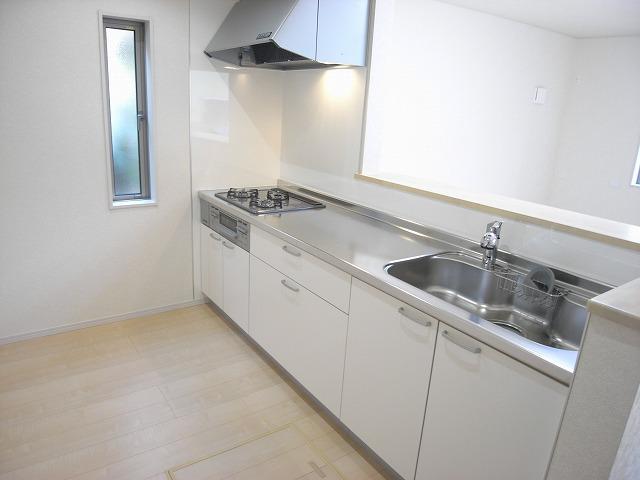 Kitchen. Indoor (11 May 2013) Shooting