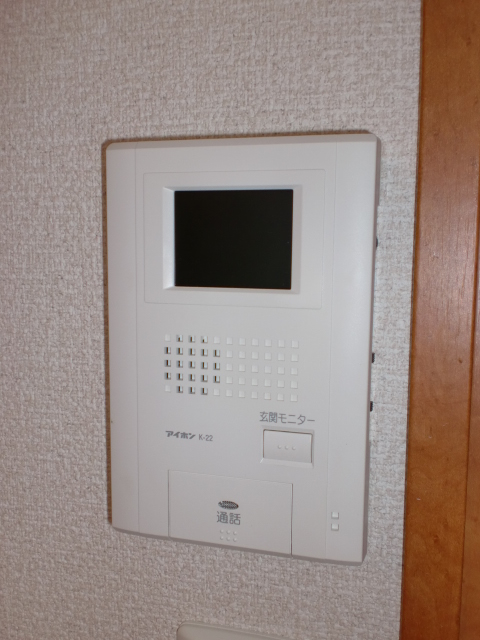 Security. TV monitor Hong