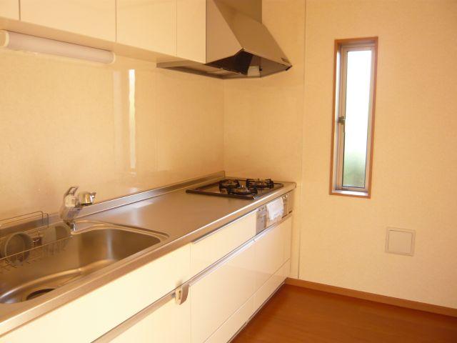 Kitchen. Indoor (10 May 2013) Shooting