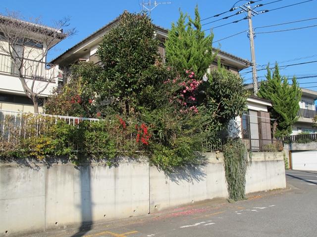 Local land photo. Site of the room in a quiet residential area