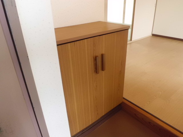 Entrance. There is also a cupboard in the entrance. 