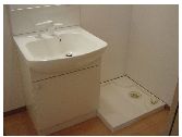 Washroom. Shampoo dresser