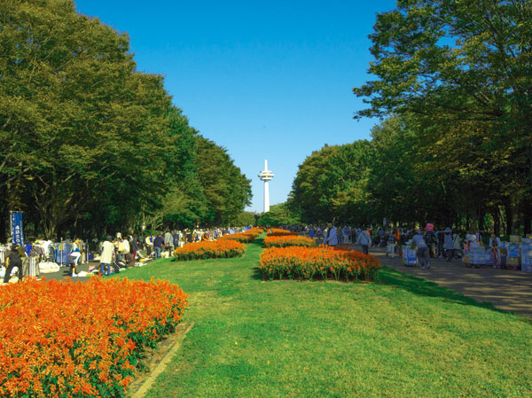 Surrounding environment. Tokorozawa Aviation Memorial Park (about 860m ・ 11-minute walk)