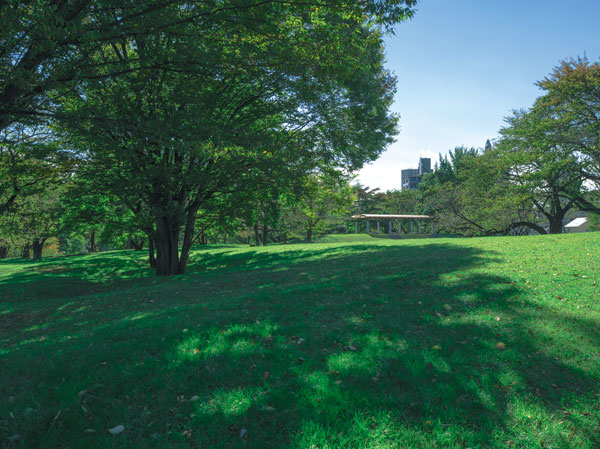 Surrounding environment. Tokorozawa Aviation Memorial Park (about 860m ・ 11-minute walk)